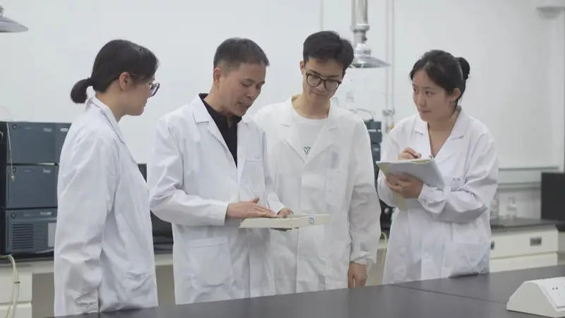 虎林:“绿叶”到“金叶” 刺五加茶擦亮特色产业金名片