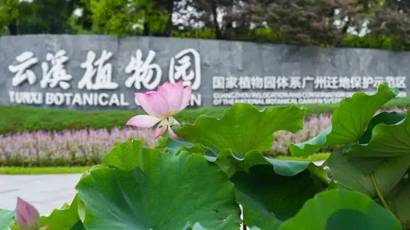 不设限、“零门槛”——白云山云溪植物园打造便民赏花“新标杆”