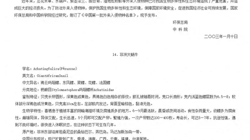 非洲大蜗牛持续扩张 我国北方或面临入侵风险