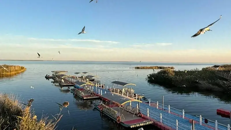 居延海住宿怎么选？从湖畔木屋到边陲酒店，一篇讲透所有选项