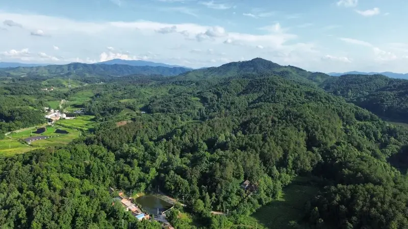 凉亭乡:此山此景此乡情