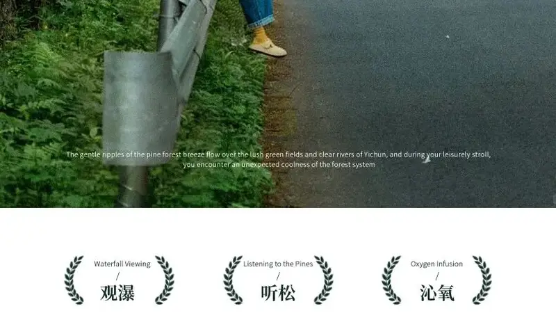 梦幻小兴安岭A线 | 伊春6天5晚丨哈尔滨-齐齐哈尔-五大连池-伊春