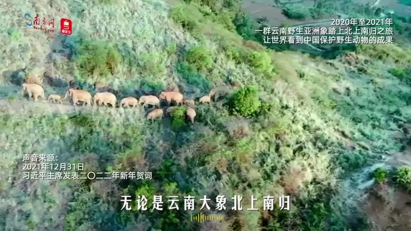 和谐共生|为美丽中国增绿添彩