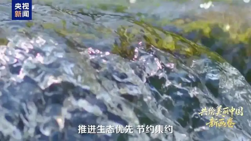 领航丨共绘美丽中国新画卷