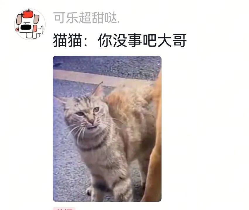 狗将鸡咬死后倒地不起,狗主人猛扇十个巴掌后狗子依旧不动…评论区劝狗主人不要再打了,狗子好像有一点si了…狗主人:这招也就骗骗你们…