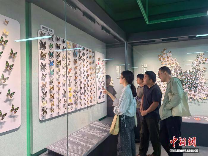 昆明推出“探秘昆虫王国”展 科普生态知识