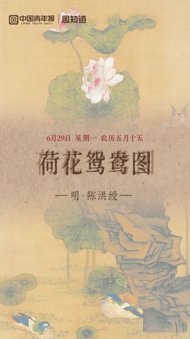 图知道|《荷花鸳鸯图》:荷风送香 鸳鸯双栖