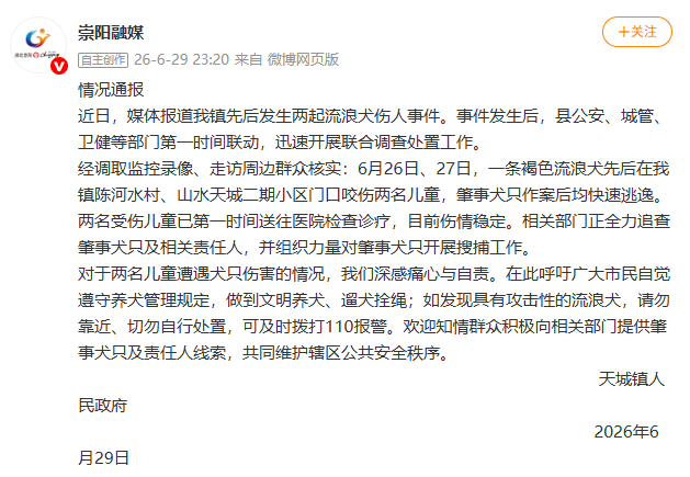 湖北崇阳通报“流浪犬咬伤两名儿童”:全力追查肇事犬只及相关责任人