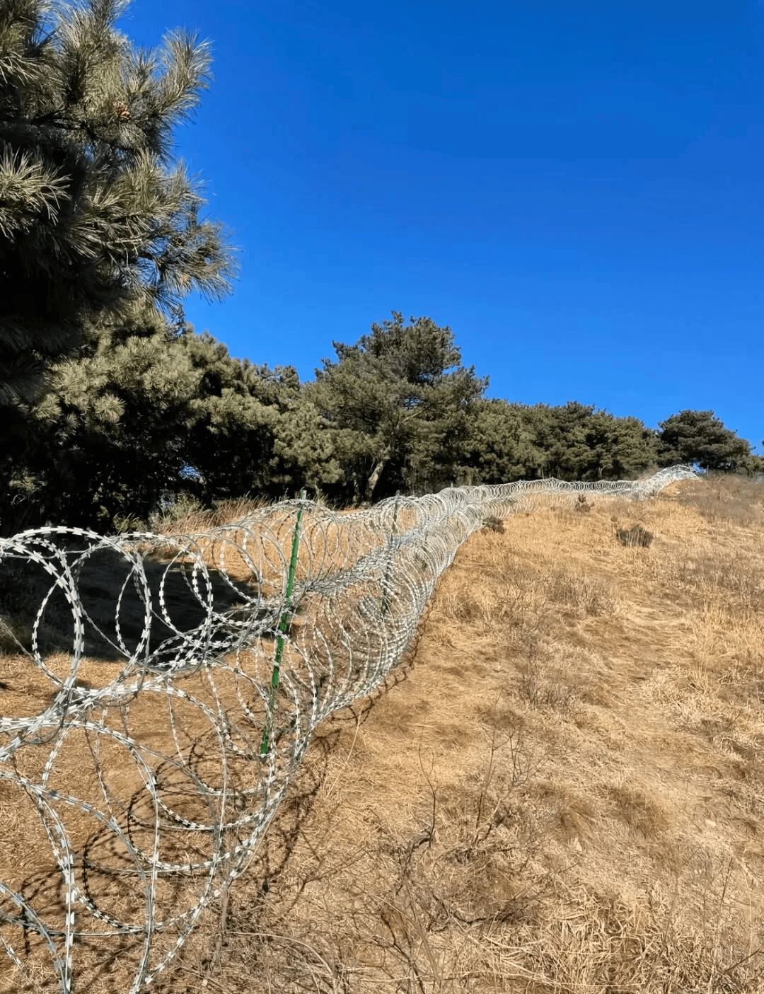 泰山景区回应修建刀片隔离铁丝网：与游览路线不交叉重叠