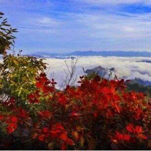 错峰出行!白河庙山寨景区日最大承载量公布!