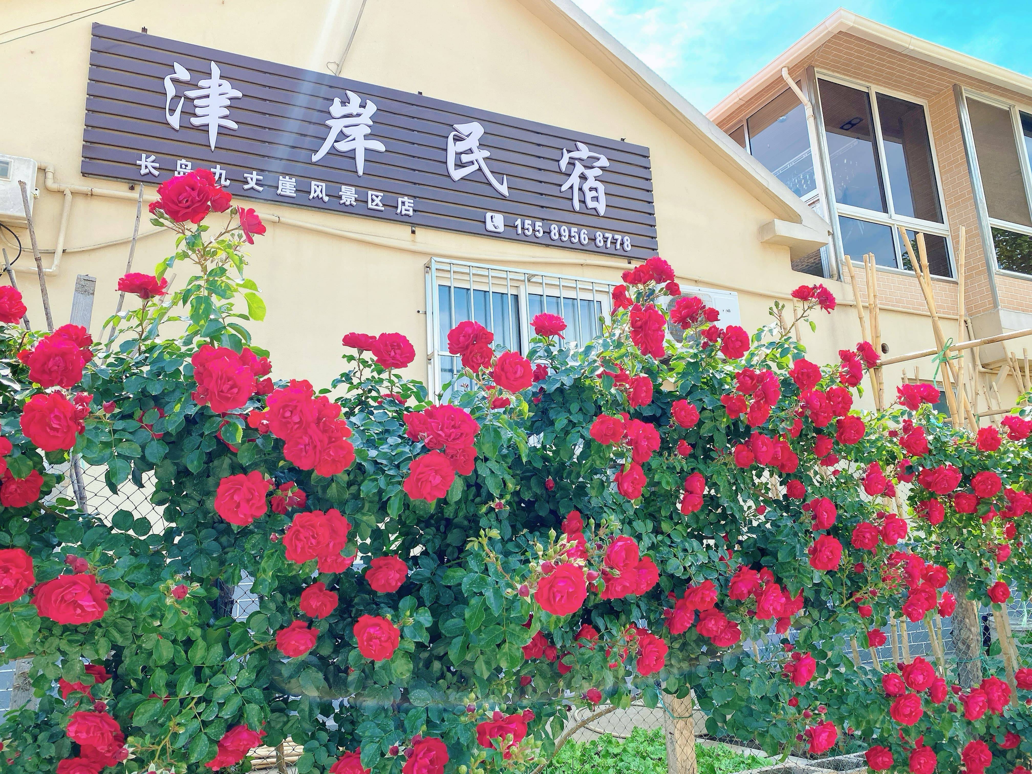 烟台长岛核心景区住宿:步行到九丈崖、月牙湾的民宿实测