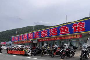庆岭活鱼哪家好吃推荐-迎宾园鱼餐馆