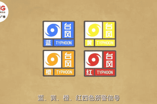 收到台风预警该怎么做？用好这份科学避险应急指南
