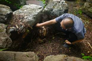香山公园雨后清理枯枝落叶和积水,保障游客游园安全