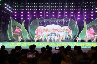 莲逢盛世·相约肇源 肇源县2026年“赏莲季” 启幕