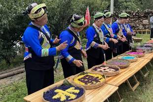 麻栗坡县八布乡“关秧门”文化旅游节启幕