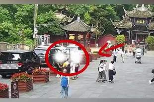 成都青城山“野路子”带客逃票团伙落网！这不是“省钱攻略”，是违法行为！
