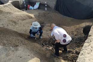 市文广旅游局慰问考古勘探发掘一线工作人员