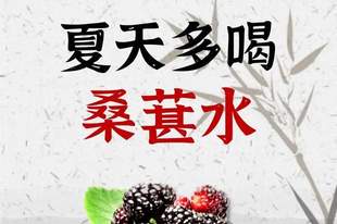 夏天多喝桑葚水,8款搭配,换着来不单调