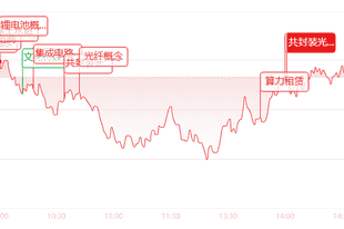 收评:创业板领涨大盘,赛道板块多点开花,高位题材股迎来集中回调
