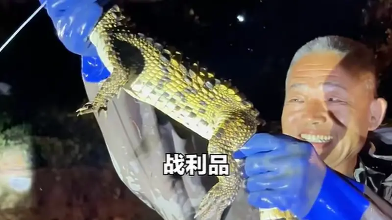 天津一小区人工湖出现鳄鱼，当地通报：已捕获1条暹罗鳄