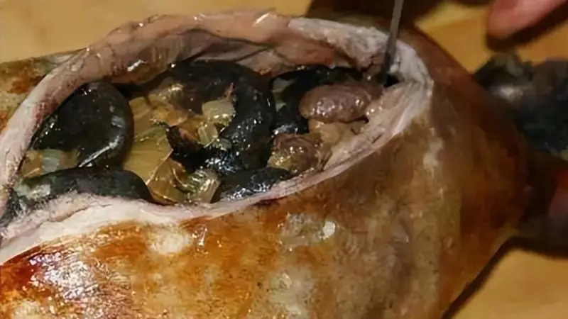 爱斯基摩人的美食腌海雀，臭到令人呕吐，为何却被当地人奉为美食