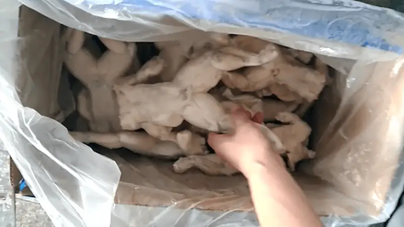 牛蛙抗生素超标5倍 真把消费者当小白鼠