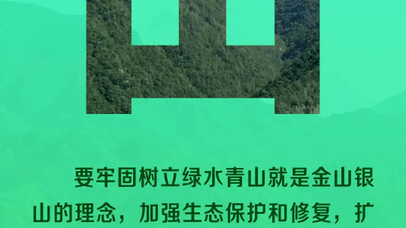 和谐共生丨八个字里的生态密码