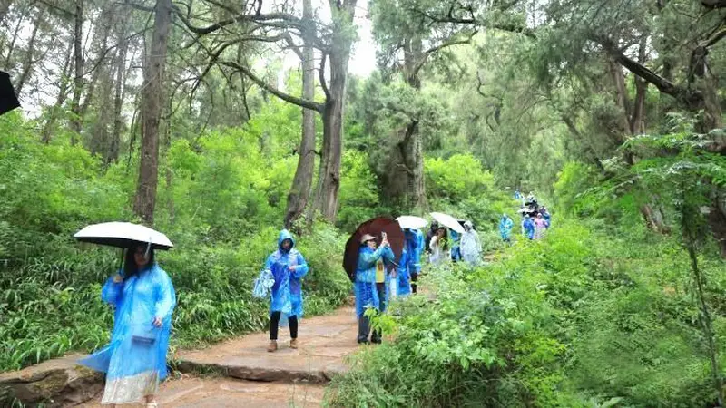 沉浸式感受古蜀道魅力