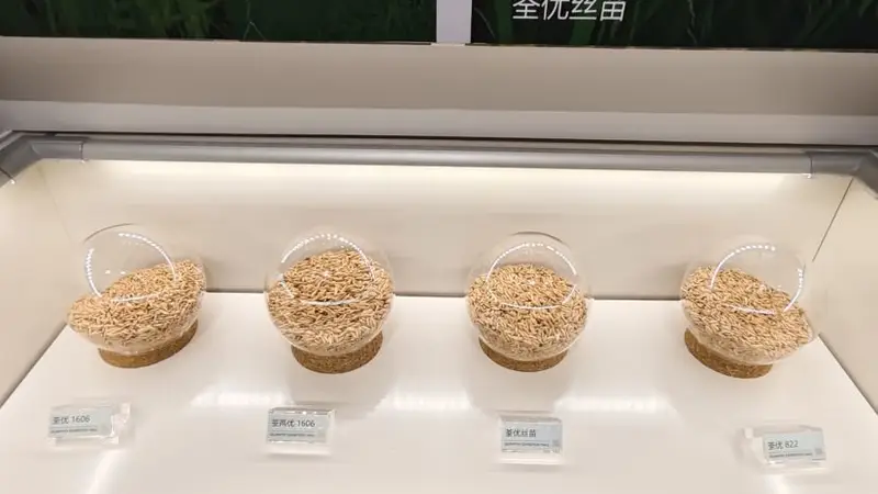 现场 | 停牌日撞上股东会,荃银高科回应超3.5亿元玉米存货减值与同业竞争核心议题