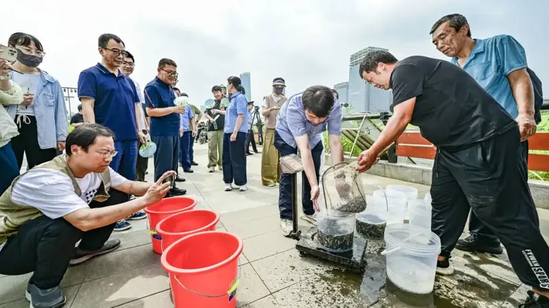 增殖放流修复北运河生态，以鱼净水灭蚊擦亮滨水游园底色