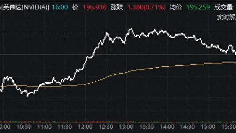 沉睡巨人正在苏醒?英伟达逆势抗跌 看涨期权酝酿“大干一场”