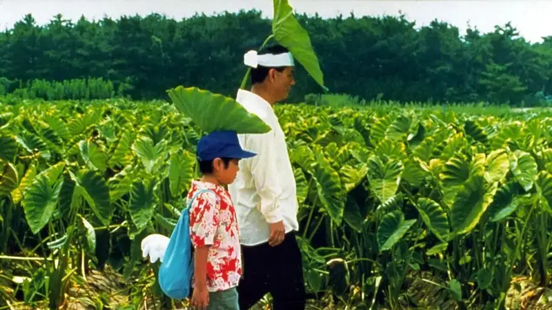 如果你需要给自己一个海岛假日