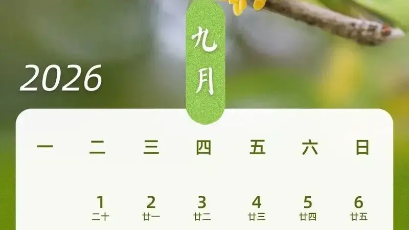 “请3天休13天”,中秋国庆超长假期来了