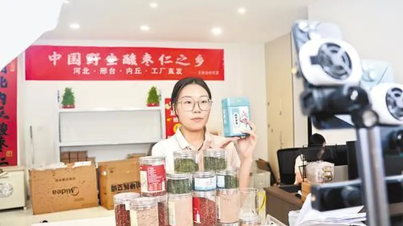 酸枣芽炒成茶,两月热卖八千斤