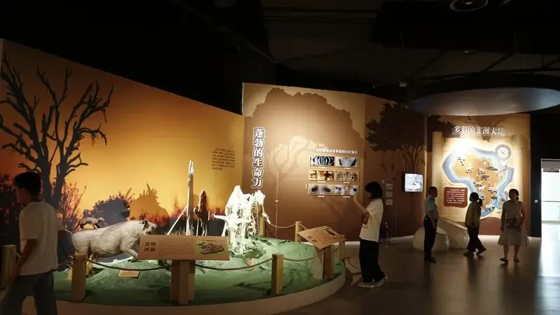 邂逅非洲野生动物！来重庆自然博物馆逛新展→