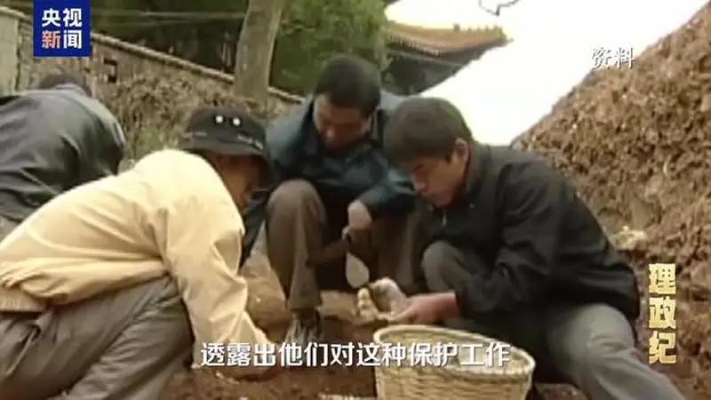 理政纪丨情系千年瓷都