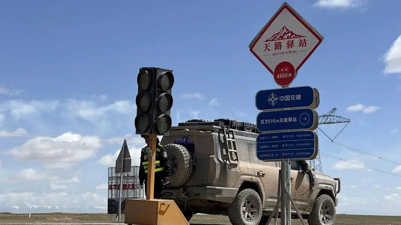 藏羚羊带娃回家啦！青藏公路开启“静音模式”