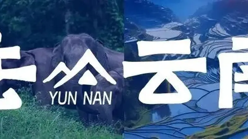 8月，去云南