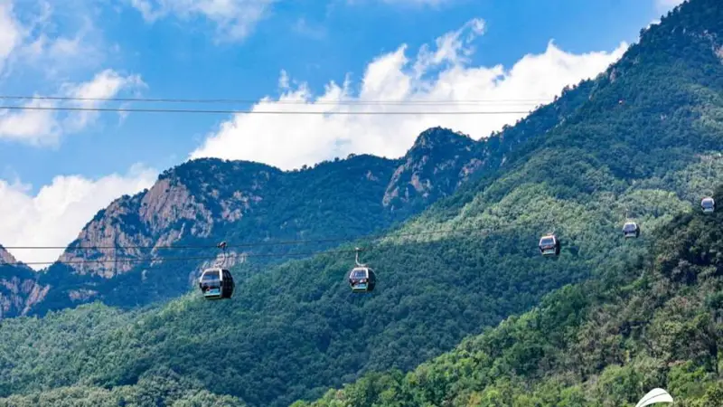 三伏登泰山 赴一场翠林云海清凉之约