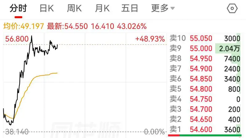 港股异动 | 海致科技集团盘中涨超48%