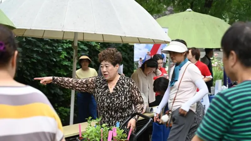 胡同里的“莫奈花园”,装下了14个民族的烟火气