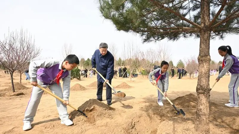 筑牢美丽中国建设的法治基石