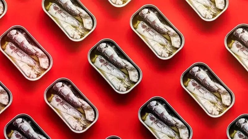 澳洲掀起沙丁鱼热潮！营养师揭秘：这样吃才健康