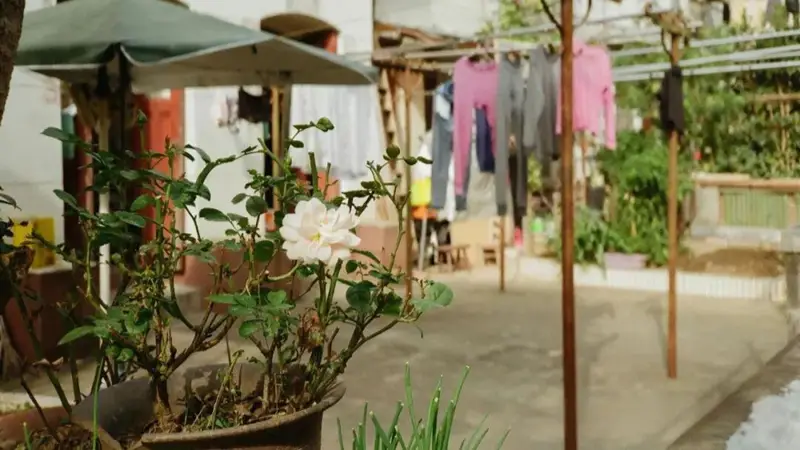 戴刀：在杨浦，发现上海老房子的秘密