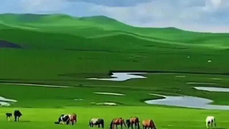 作为当地人,我要为乌兰察布文旅澄清几个事实……