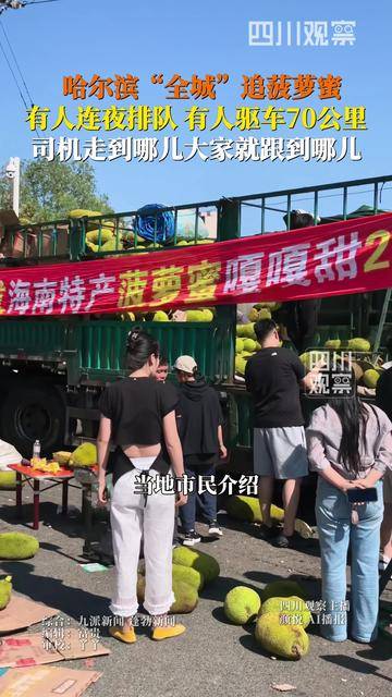 哈尔滨全城追菠萝蜜