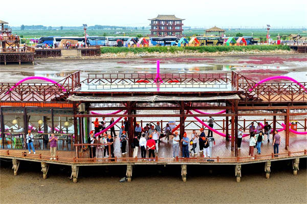 辽宁盘锦：红海滩点燃夏日游