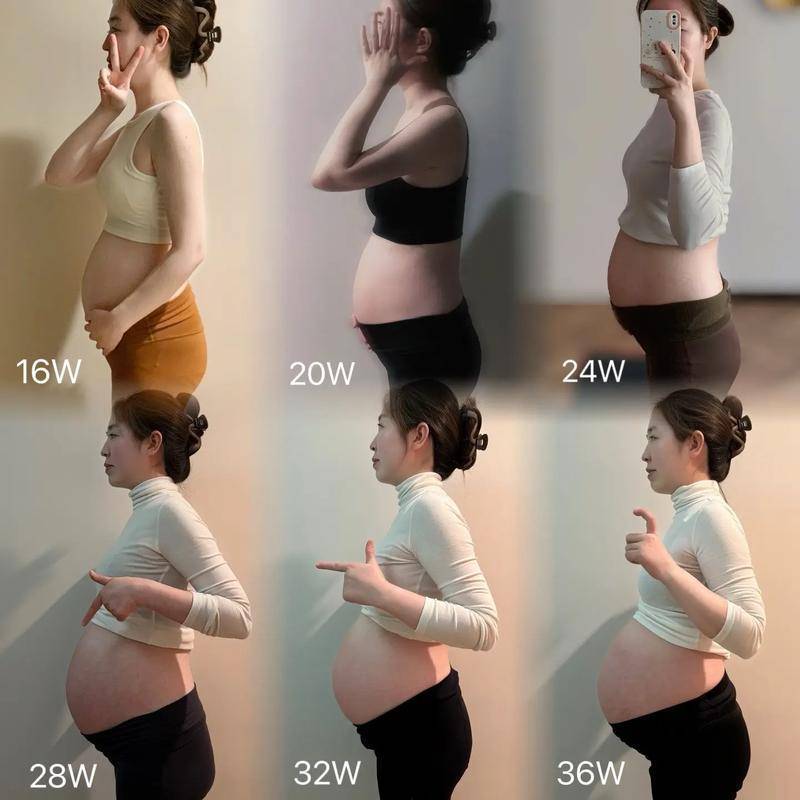 子宫从梨变西瓜、五脏六腑全移位:女人怀孕的“身体重构”,比你以为的惨烈一万倍,身为男人要感恩