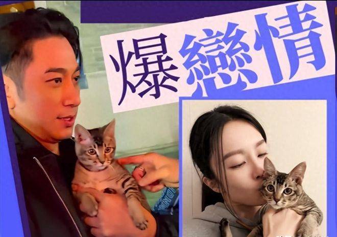 吴卓羲张曦雯因小猫疑泄露恋情?网友态度出奇一致:同意这门亲事